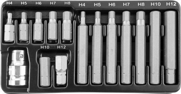 S29H4115S Набор вставок-бит 10 мм DR шестигранных с переходником, 15 предметов, код товара: 47396, артикул: S29H4115S